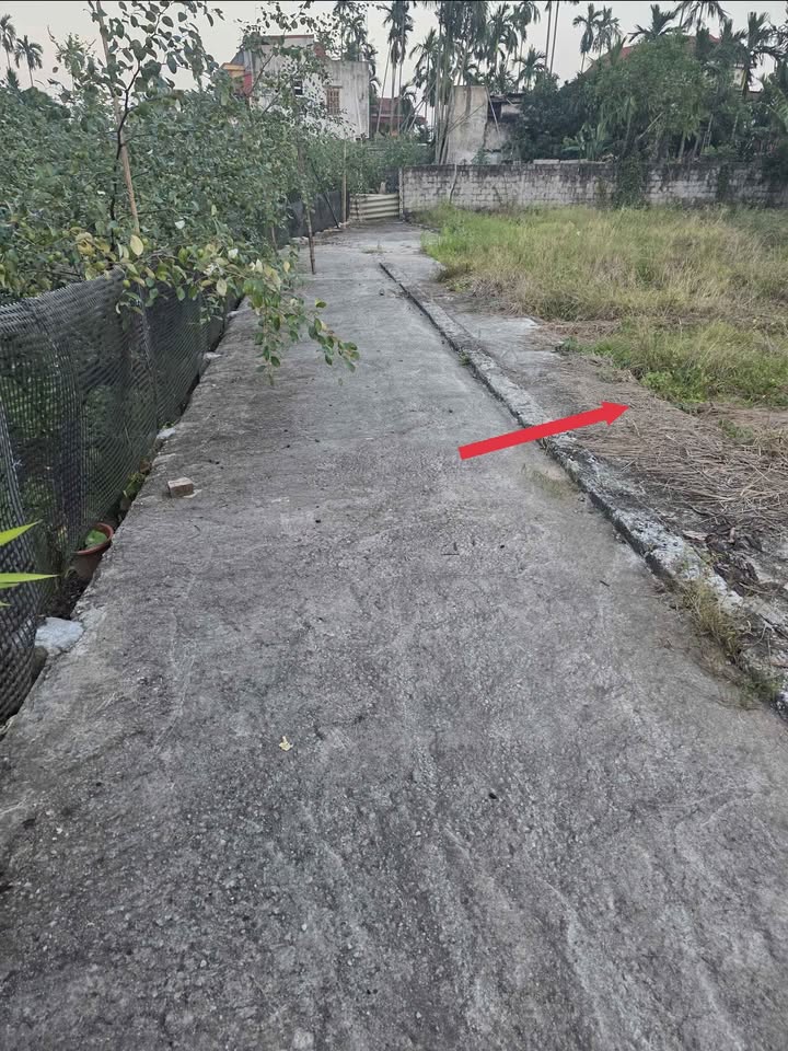 Đất thổ cư Liên Nghĩa - Văn Giang 68m² giá 2 tỷ - Tiềm năng đầu tư lớn!