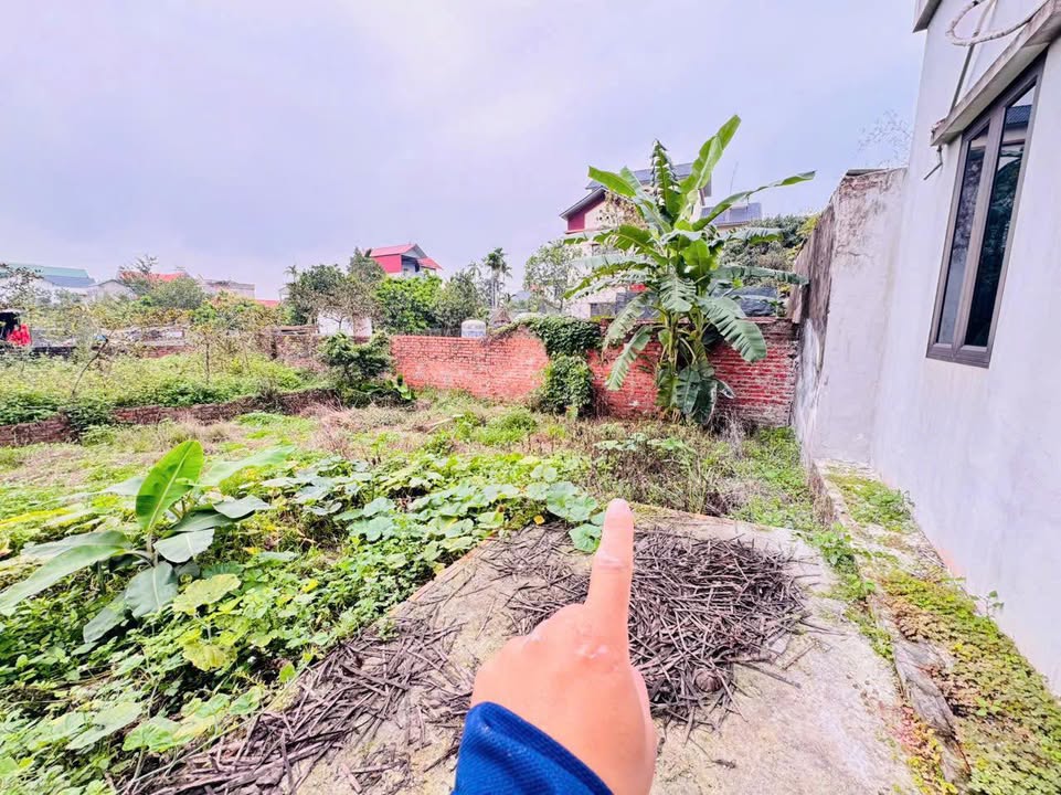 Đất nền tại Thị trấn Kim Bài 42m² giá 2 tỷ - Đầu tư sinh lời!