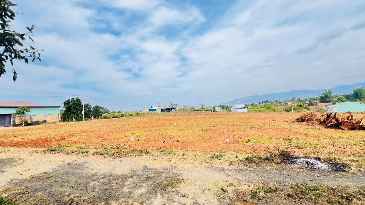 Đất hẻm 104 Trần Văn Ơn, Gia Lai 258m² chỉ 4.x tỷ - Đầu tư sinh lời tốt!