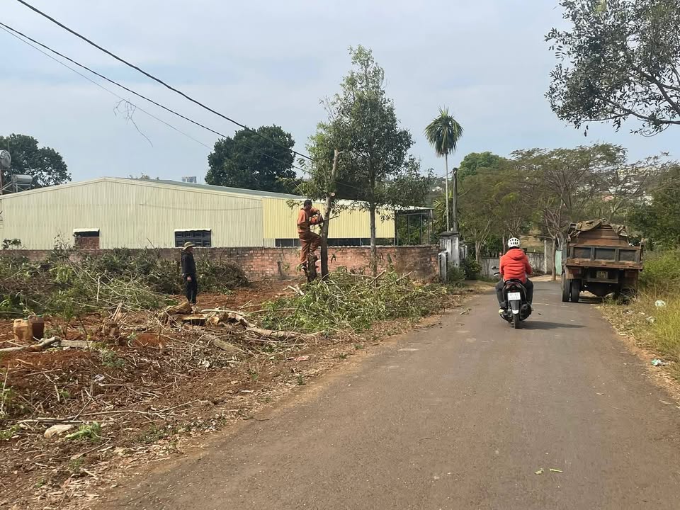 Bán đất mặt tiền đường Nguyễn Tuân, Pleiku 160m² giá chỉ 8xx triệu - Địa điểm kinh doanh lý tưởng!