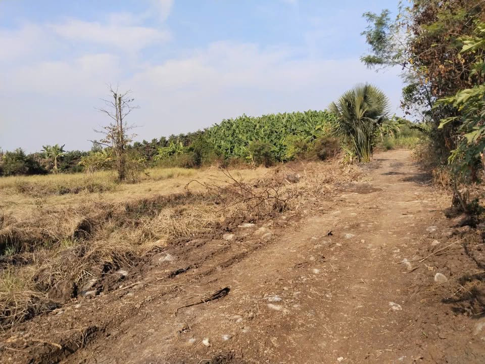 Đất nền 3 sào xã Bàu Hàm, huyện Trảng Bom, 1.05 tỷ - Cơ hội đầu tư tuyệt vời!