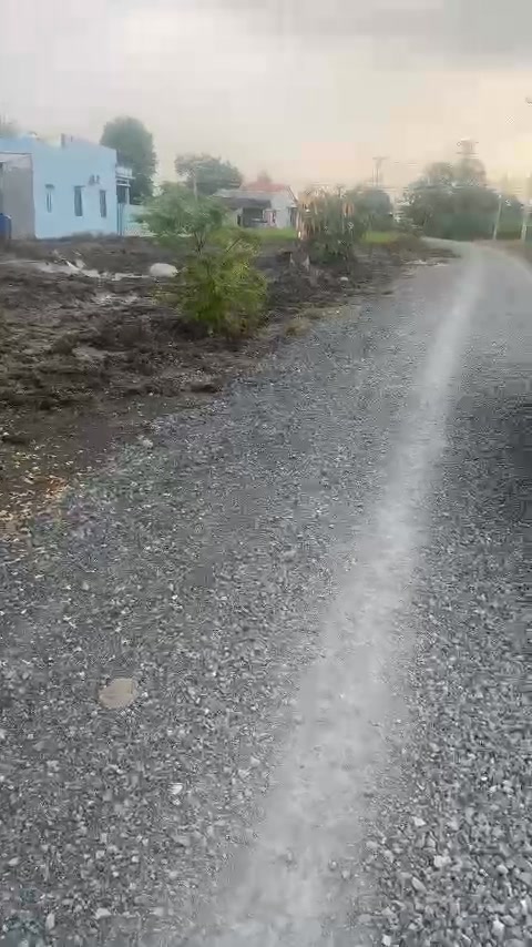 Đất thổ cư xã Phước Tuy, huyện Cần Đước 979m² giá 5.5 tỷ - Đầu tư sinh lời ngay!