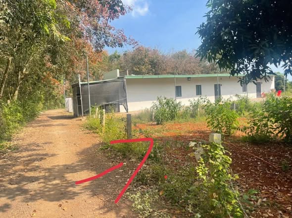 Đất thổ cư Long Tân 1000m² giá 1.89 tỷ - Sổ hồng chính chủ sẵn sàng giao dịch!