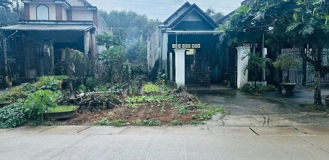 Đất nền mặt tiền đường 10m xã Đức Tân, 175m² giá 700 triệu - Cơ hội đầu tư hấp dẫn!