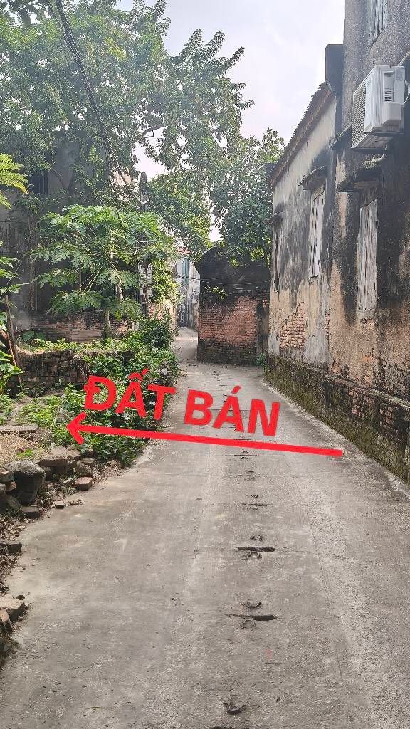 Đất nền 120m² Giang Biên Long Biên chỉ 4 tỷ - Đầu tư sinh lời ngay!