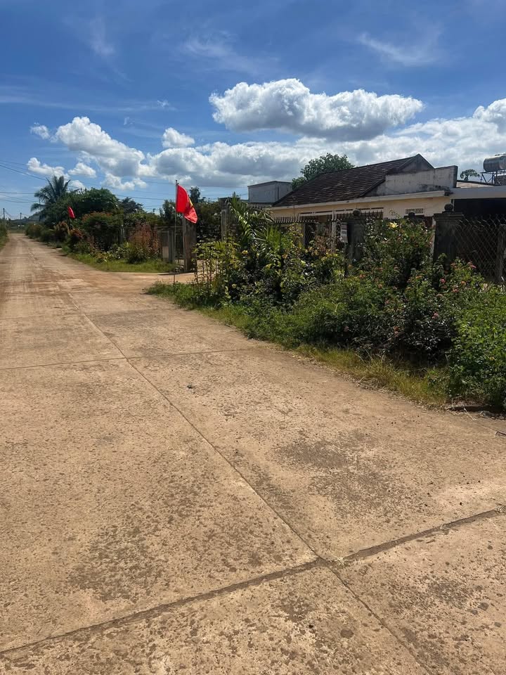 Đất nền Tân Hội Đức Trọng 3240m² giá 8.5 tỷ - Đầu tư sinh lời ngay!