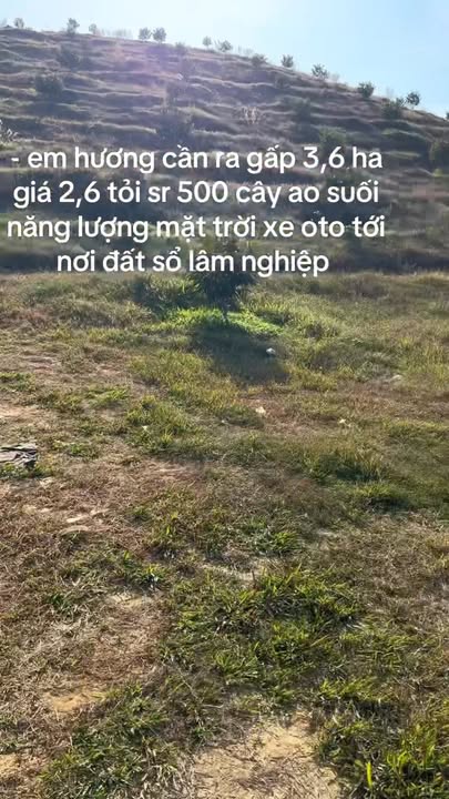 Đất Farm 3,6ha tại Đạ Tẻh - Sổ lâm nghiệp 50 năm - Giá chỉ 2.6 tỷ!