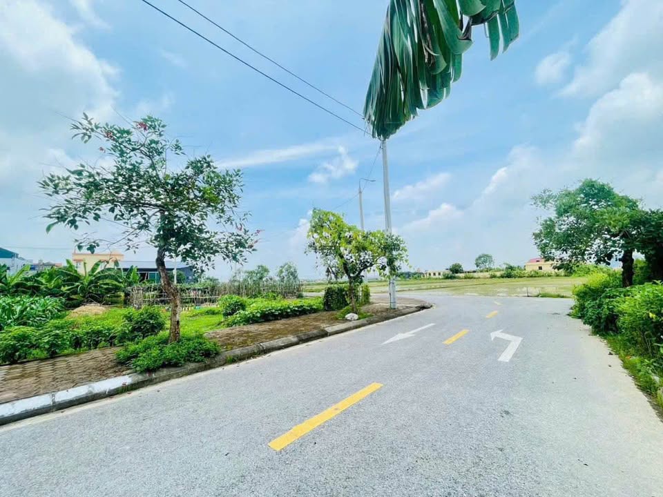 Đất nền thôn Thọ Cách, xã Yên Khánh, 118m² chỉ 1.8 tỷ - Cơ hội đầu tư tuyệt vời!