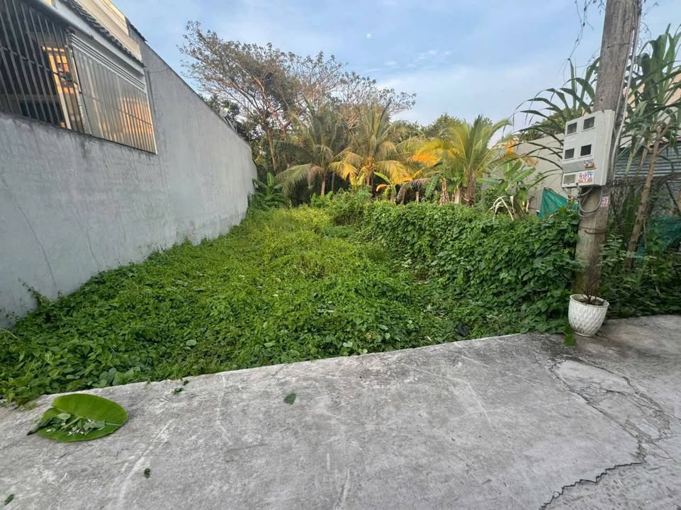 Đất nền thổ cư Phường Phước Hậu, Vĩnh Long 139.7m² - Vị trí đẹp, giá tốt!