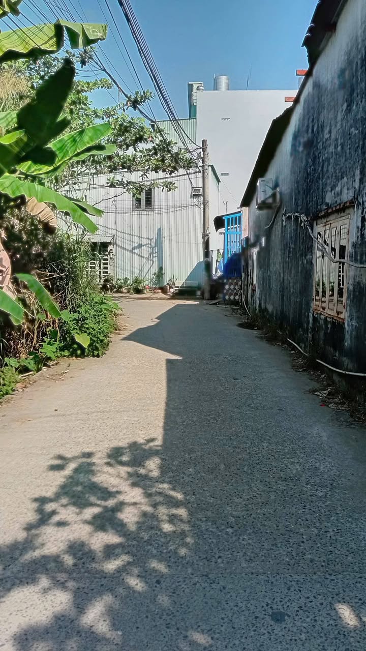 Đất nền giá rẻ Đường số 8, Lò Lu - 35m² chỉ 270 triệu - Cơ hội đầu tư tuyệt vời!