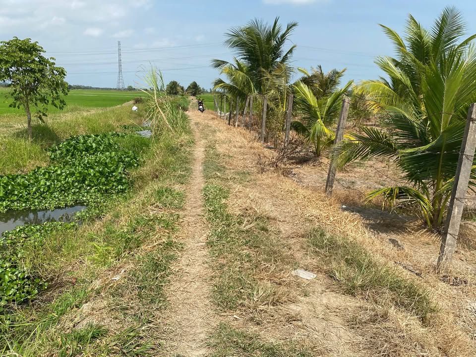 Đất mặt tiền bờ kênh Lương Hòa A, Châu Thành 600m² giá 500 triệu - Pháp lý rõ ràng!