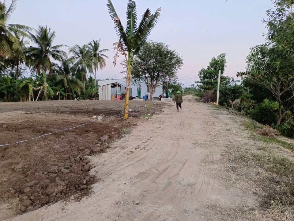 Đất thổ cư Ấp Cổ Tháp B, Xã Nguyệt Hóa, 87m² giá 390 triệu - Cơ hội đầu tư tuyệt vời!