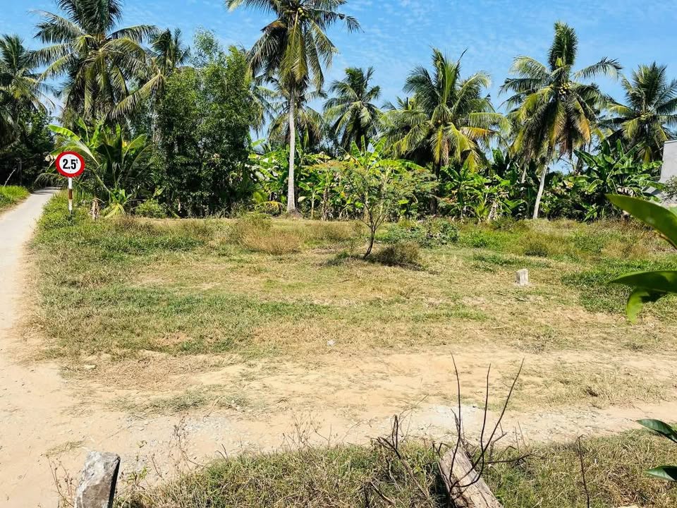 Đất thổ cư 148m² tại Vành Đai 3, Trà Vinh - Giá chỉ 390 triệu