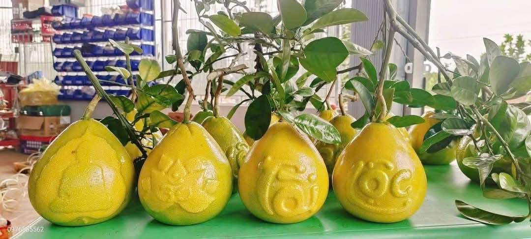 Lô đất góc đẹp tại Thôn 1 Thủy Sơn, Hải Phòng 61m² giá 2.5 tỷ - Sổ đỏ chính chủ!