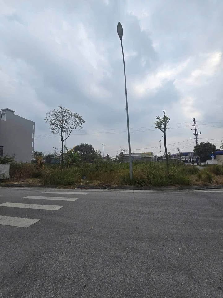 Đất nền khu đô thị Nguyễn Lương Bằng, Hải Dương 67.81m² giá 4 tỷ - Sổ hồng chính chủ!