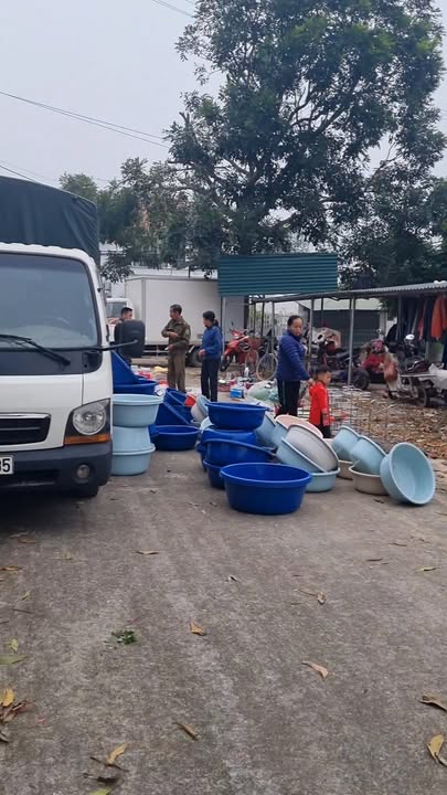 Đất thổ cư 127m² tại Xã Bắc Sơn, Huyện Tam Nông - Pháp lý rõ ràng, giá thỏa thuận!