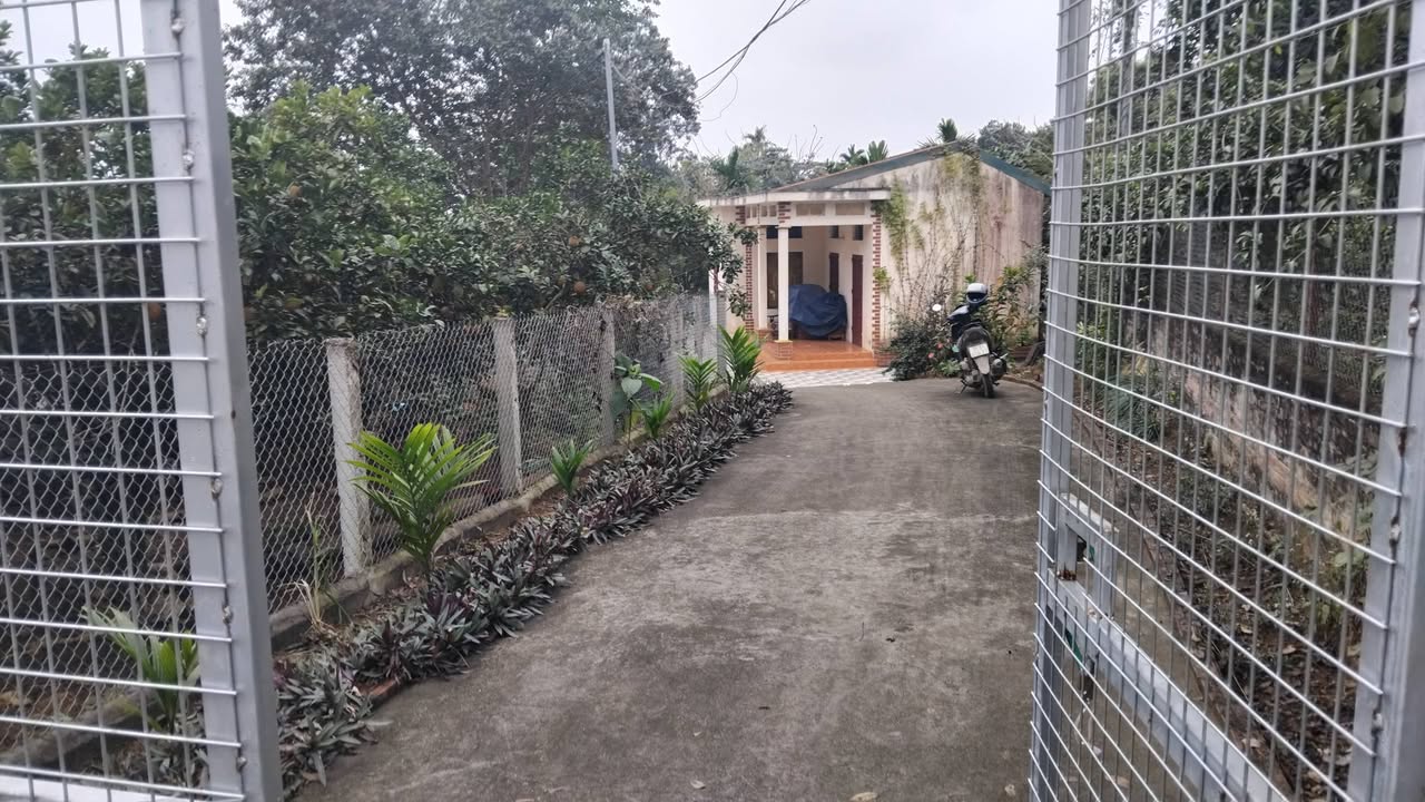 Đất thổ cư Ba Vì 605.6m² giá 1.x tỷ - Pháp lý đầy đủ, view thoáng mát!