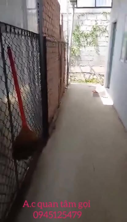 Nhà giá rẻ tại Phước Thái, Long Thành - Chỉ từ 899 triệu!