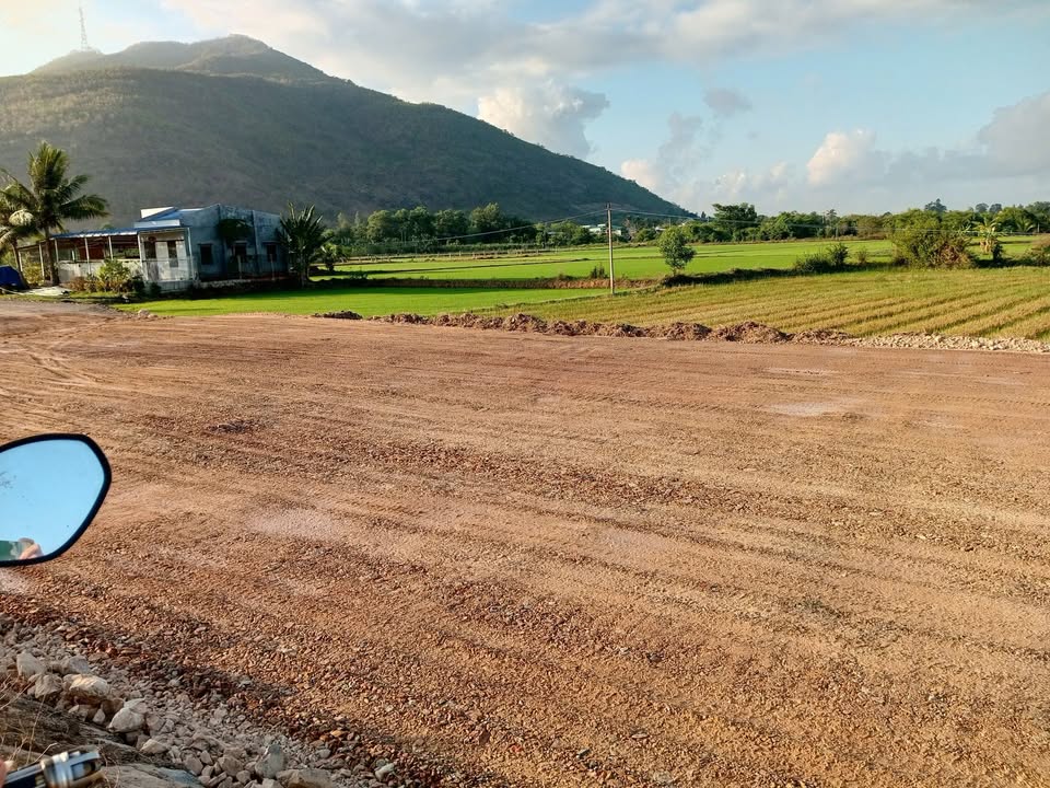 Đất nền 1080m² tại Xã Hàm Đức, Huyện Hàm Thuận Bắc - Giá chỉ 1 tỷ, đầu tư sinh lời!