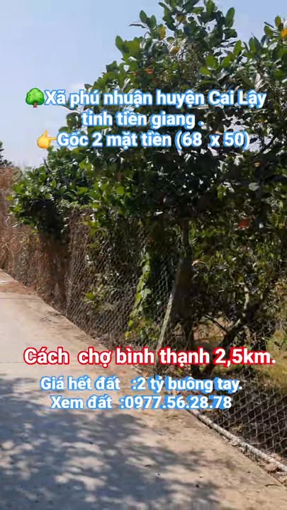 Đất mặt tiền huyện lộ 65, Bình Thạnh, 3.300m² - Đầu tư sinh lời tuyệt vời!