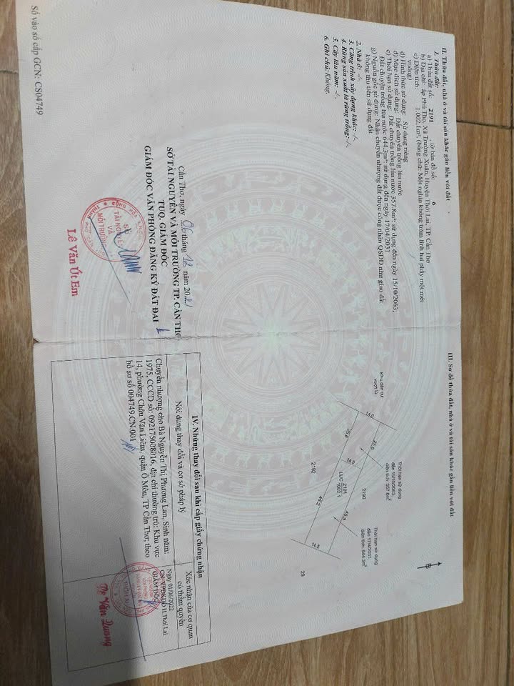 Đất lúa 1002m² tại Trường Xuân, Thới Lai, Cần Thơ - Cơ hội đầu tư hấp dẫn!