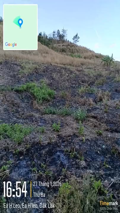 Đất nông nghiệp 1,3ha tại xã Ea H'leo, Đắk Lắk - Giá chỉ 149 triệu