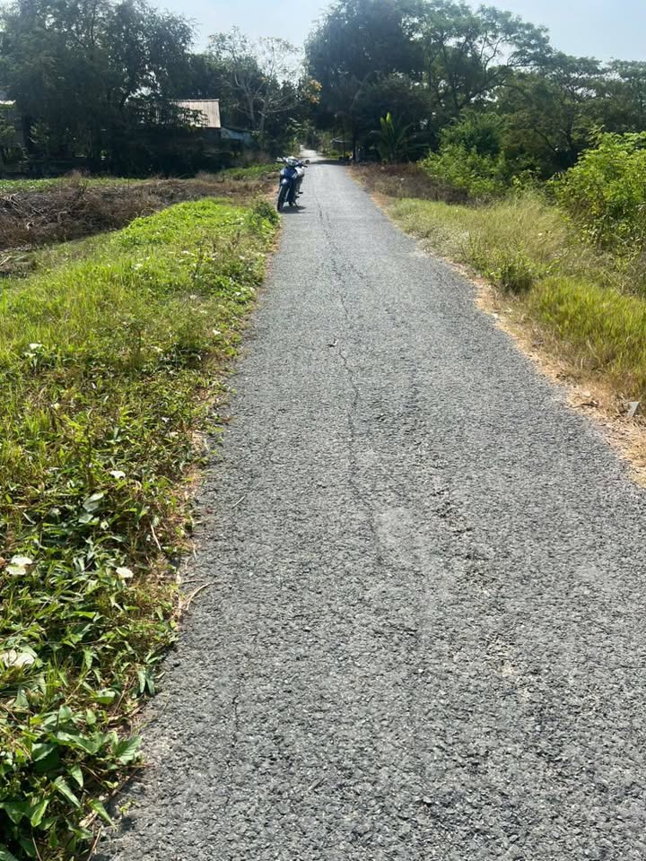 Bán đất nông nghiệp 5.200m² xã Bình Thành, giá 1.352 tỷ - Đầu tư sinh lời lâu dài!