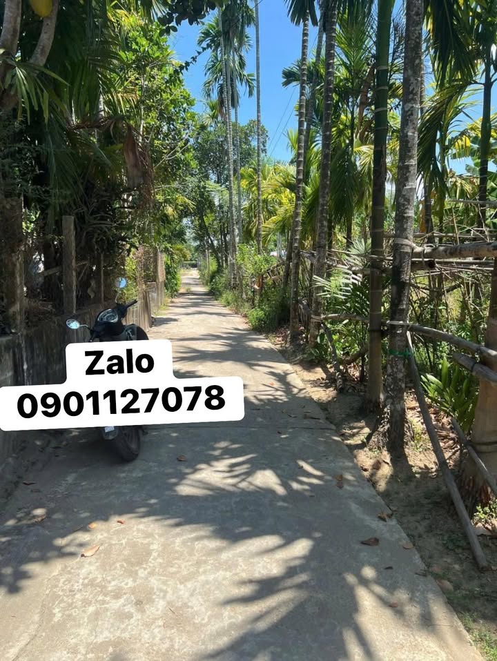 Đất thổ cư Phường Điện Nam Trung 125m² giá 800 triệu - Cơ hội đầu tư tuyệt vời!