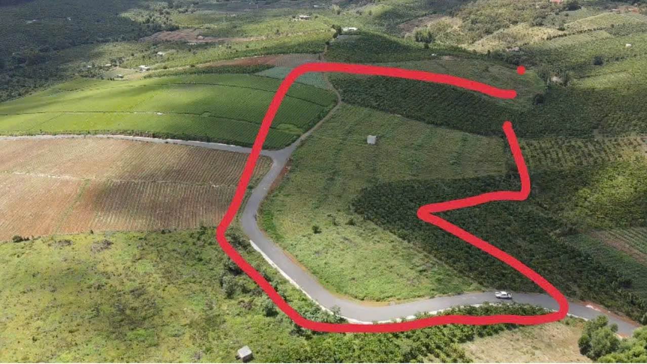 Đất trống cho thuê tại Thôn 7 Lộc Quảng 1,2ha - Giá chỉ 60 triệu/năm!