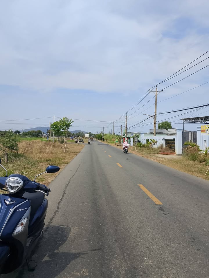 Đất thổ cư 1001m² tại Phước Hải, Bà Rịa - Vũng Tàu giá 4.3 tỷ - Hướng đẹp, gần biển!