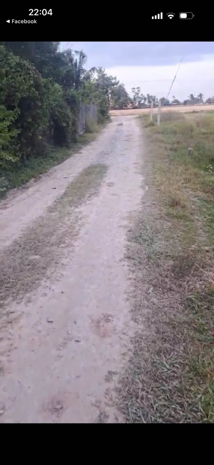 Đất mặt tiền xã Bàu Năng 1598m² giá chỉ 400 triệu - Cơ hội đầu tư tuyệt vời!