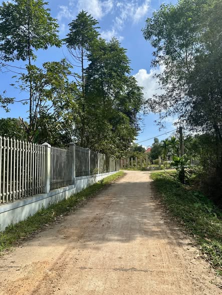 Bán đất kiệt Tôn Thất Sơn, Thị xã Hương Thủy, 92,5m² - Gần mặt tiền, ô tô vào tận nơi!