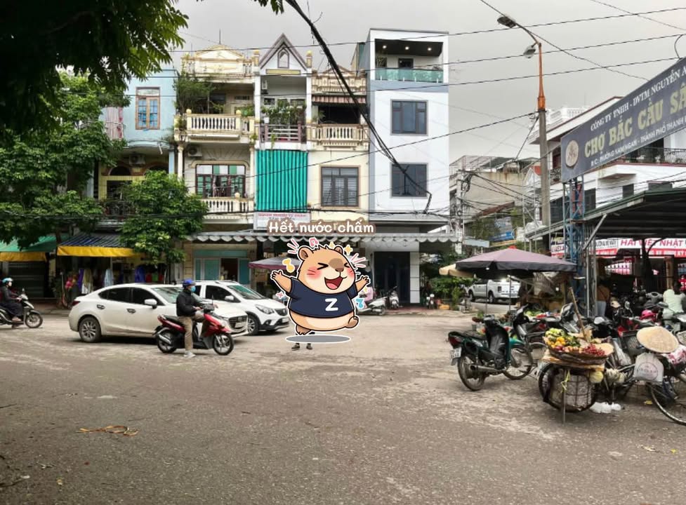 Đất nền Phường Nam Ngạn 44m² giá 1 tỷ - Cơ hội đầu tư tuyệt vời!