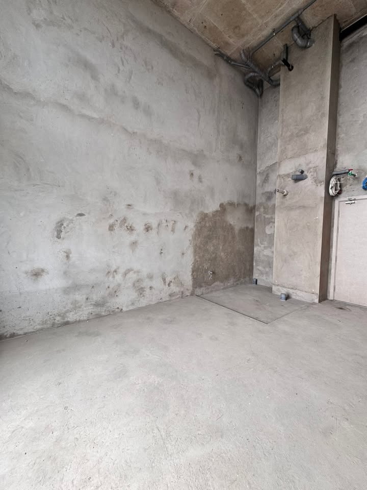 Căn hộ Mezza – Sky Forest Gia Lâm 30m² giá 3.4 tỷ - Thiết kế linh hoạt, bàn giao thô!