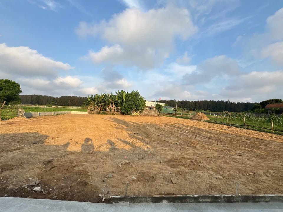 Đất nền thôn Đông Tân, Đa Lộc, 144m² - Giá đẹp cho nhà đầu tư!