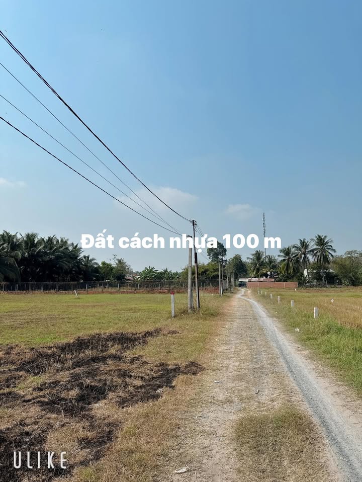 Đất thổ cư 150m² tại Ấp A, Xã Tiên Thuận, Huyện Bến Cầu giá 290 triệu - Đường ô tô thuận tiện!