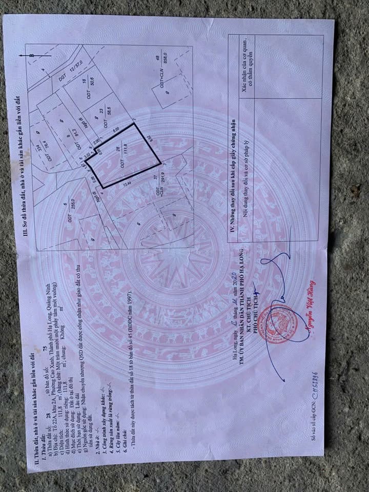 Đất nền 110m² phường Cao Xanh, Hạ Long giá chỉ 900 triệu - Cơ hội đầu tư hấp dẫn!