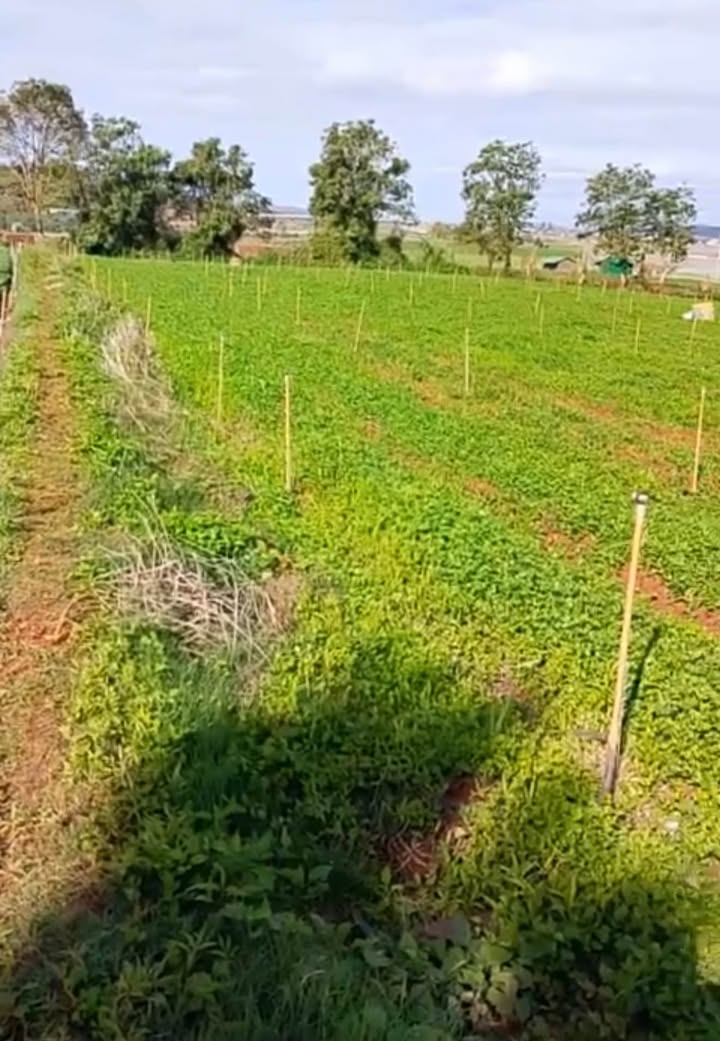 Đất nông nghiệp 2880m² tại Ka Đơn, Đơn Dương chỉ 2.8 tỷ - Đầu tư sinh lời cao!