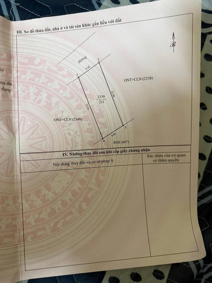 Đất nền Ngọc Sơn - Huyện Thanh Chương - 207m² giá 700 triệu - Cơ hội đầu tư tuyệt vời!