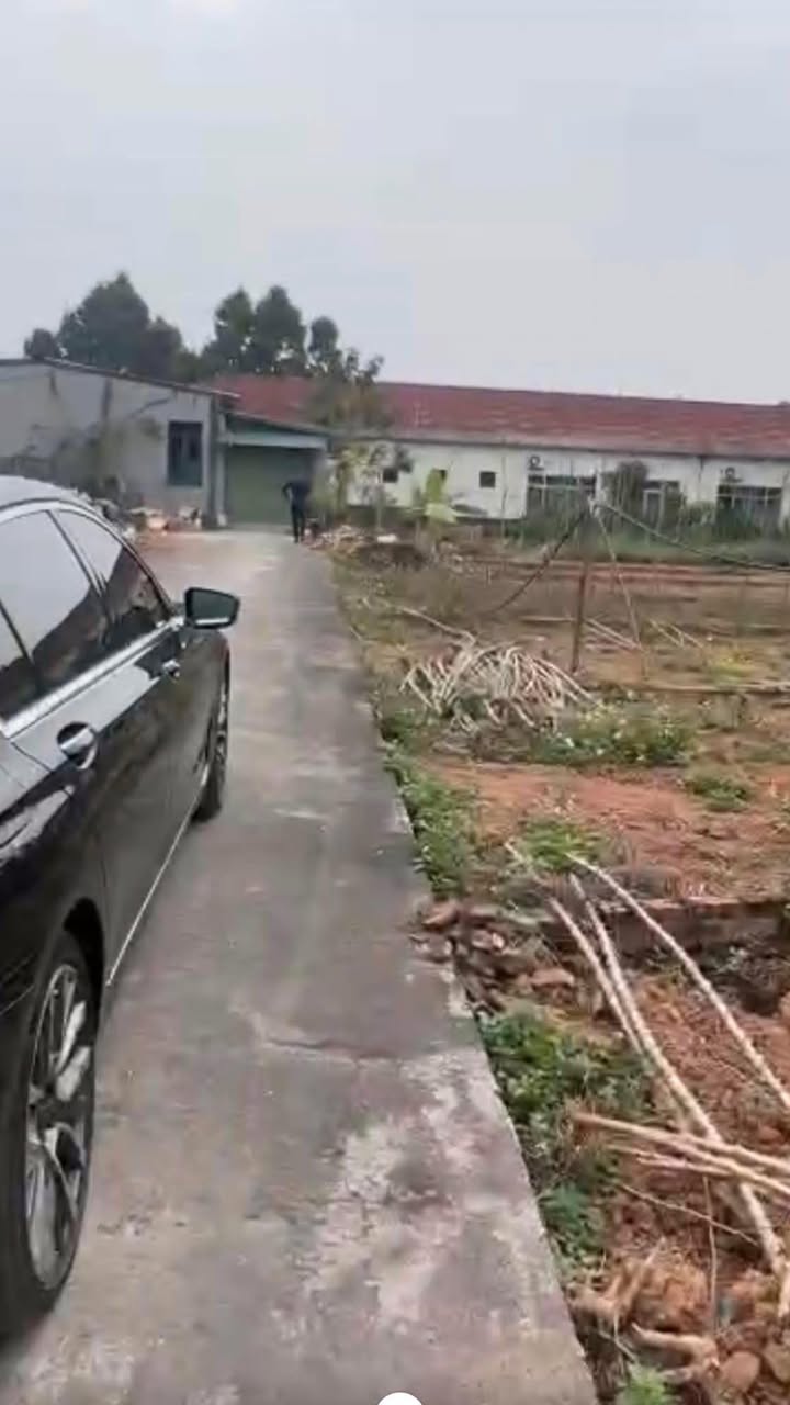 Đất lô góc khu 6 xã Hy Cương 109,7m² giá 1,1 tỷ - Cơ hội đầu tư hấp dẫn!