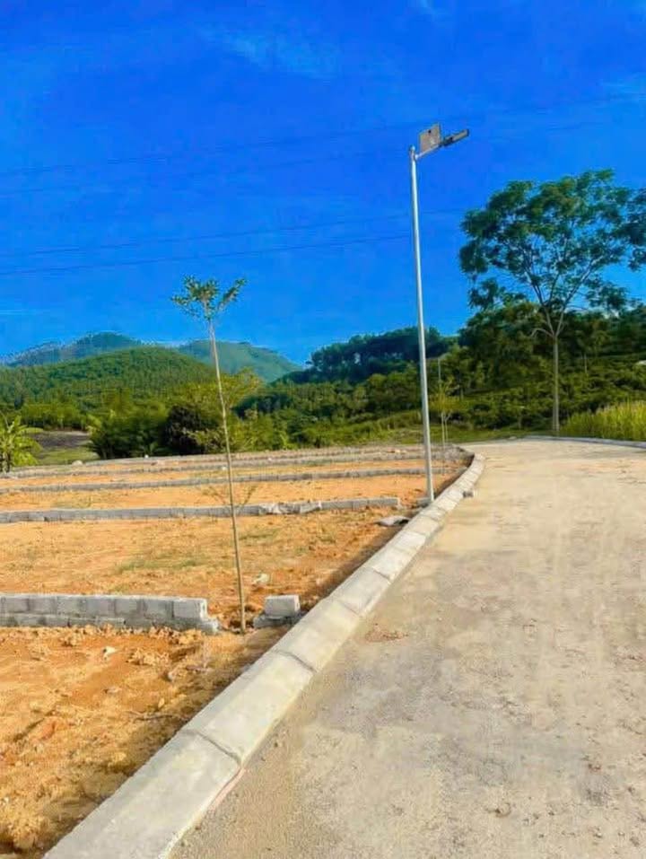 Đất nền liên kề tại Phường Bình Thuận 180m² giá chỉ 800 triệu - Cơ hội đầu tư tuyệt vời!