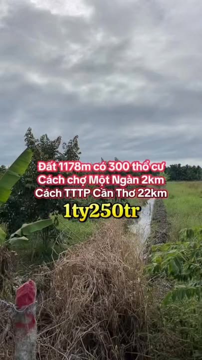 Đất nền xã Tân Hoà, huyện Châu Thành A, 1178m² giá 1.25 tỷ - Pháp lý rõ ràng!