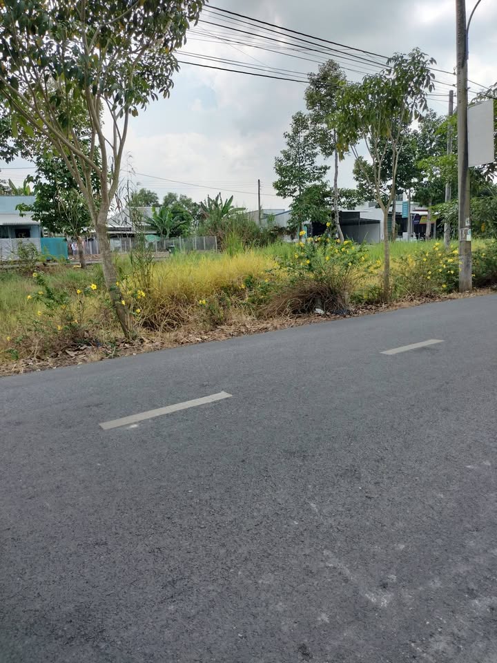 Đất mặt tiền đường Huyện 16, xã Thới Tân, 10.761m² giá 6.995 tỷ - Cơ hội đầu tư hấp dẫn!