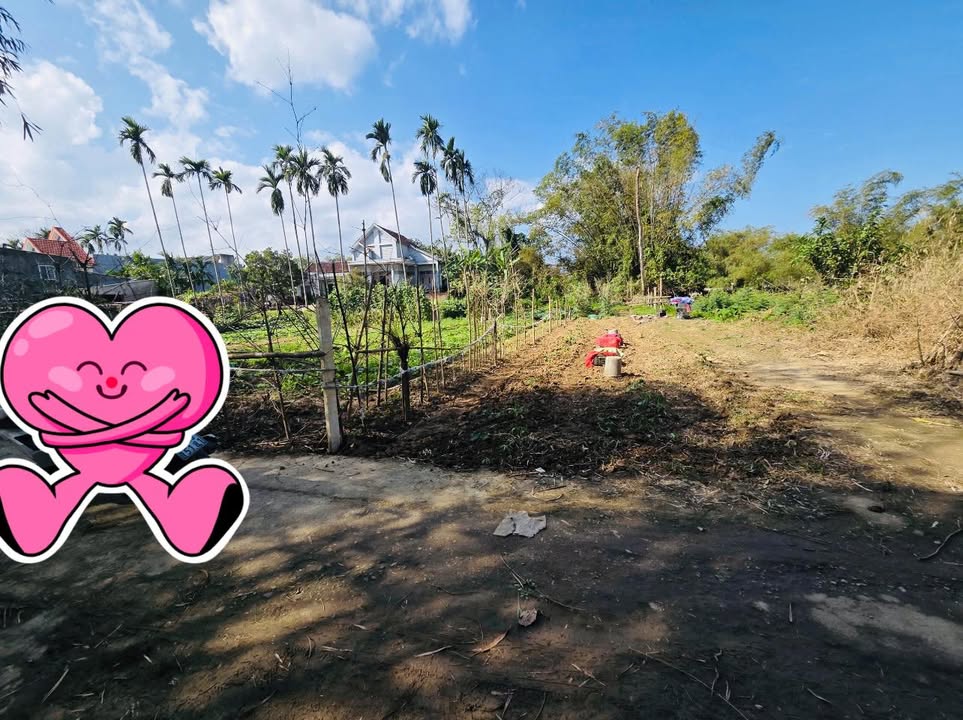 Đất nền Hòa Tiến Đà Nẵng 100m² giá chỉ 1.2 tỷ - Cơ hội đầu tư tuyệt vời!