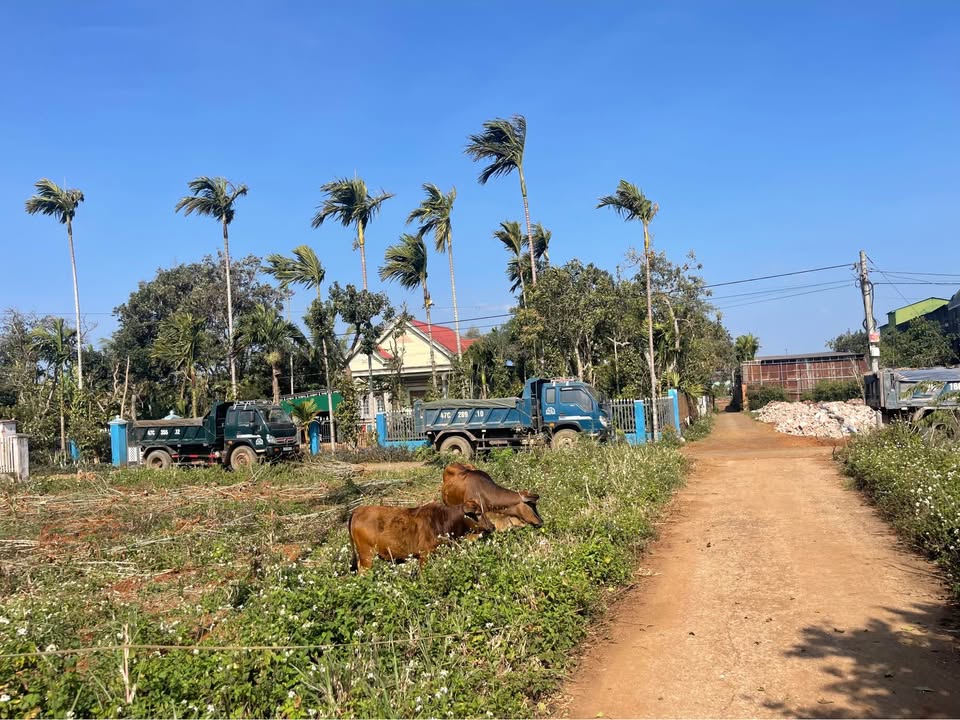 Đất nền hẻm Cấp 1 Quốc lộ 14, xã Cuor Đăng, 240m² giá 850 triệu - Đầu tư sinh lời ngay!