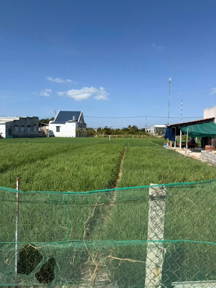 Đất thổ cư Vĩnh Hải 252m² giá 1.2 tỷ - Đầu tư sinh lời ngay!