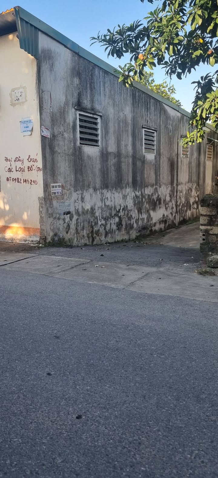 Đất nền 110m² tại TDP Quan Nha, Hòa Mạc, Duy Tiên - Giá chỉ 1 tỷ!