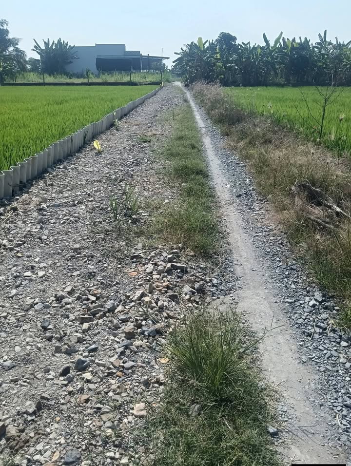 Đất thổ cư 200m² tại Xã Tân Trung, Gò Công - Giá 900 triệu - Cơ hội đầu tư hấp dẫn!