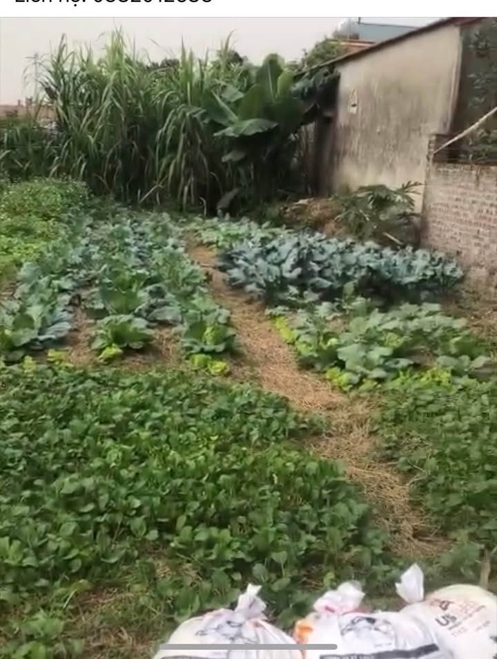 Đất nền xã Trừng Xá, Lương Tài 72m² giá 1 tỷ - Đầu tư sinh lời lý tưởng!