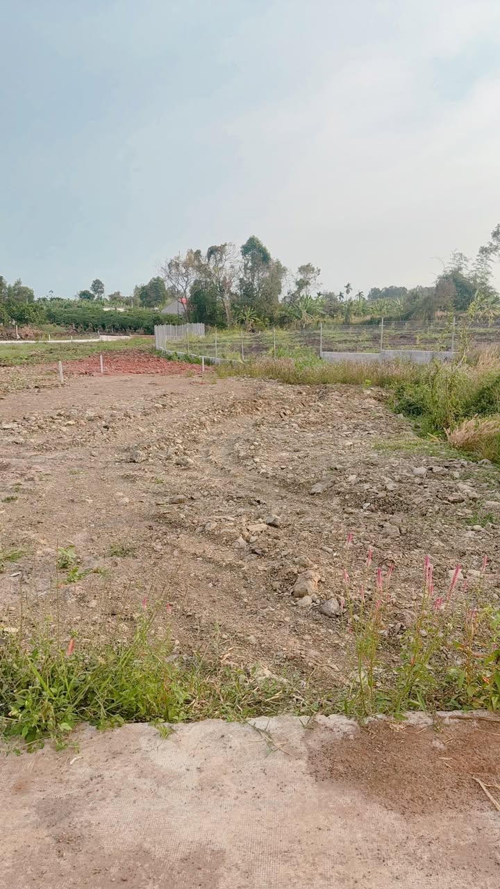 Đất nền thôn Phước An, Xã Phước Hội, 135m² giá 495 triệu - Cơ hội đầu tư tốt!